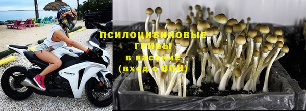 СК Алзамай