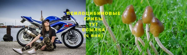 амфетамин Алексеевка